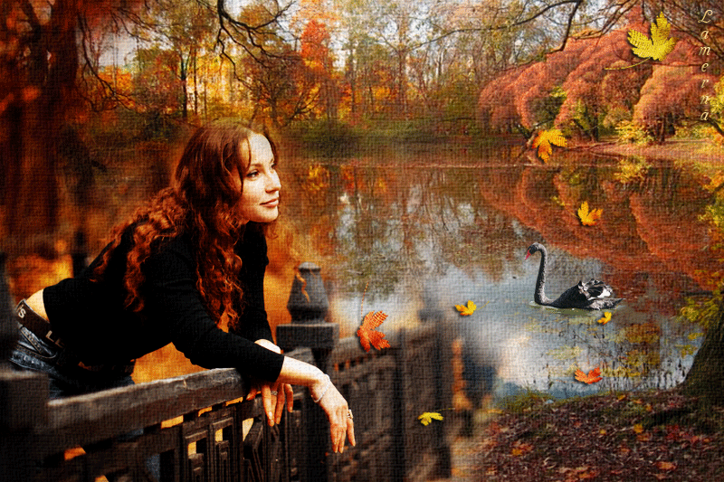 Песня капризный май и теплый вечер. Осенние фото. Осенняя грусть. Гифы осень. Слезы осени.