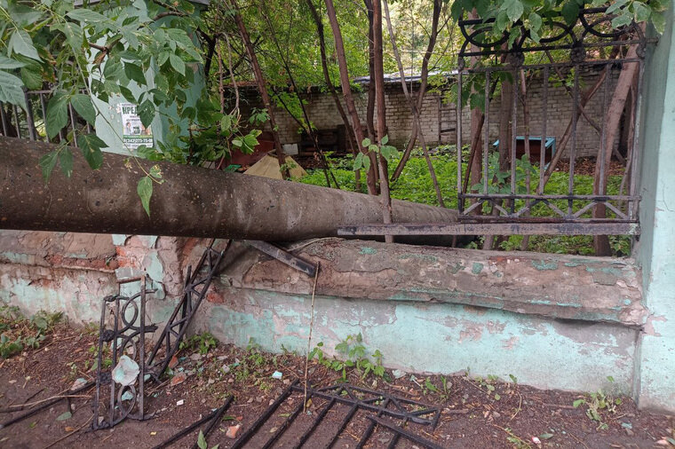    Из-за упавшего дерево была повреждена ограда больницы Корреспондент URA.RU
