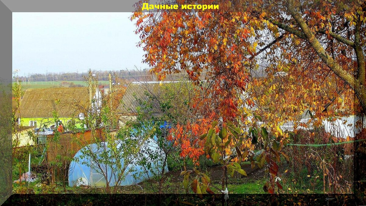 Новости Краснодара и Краснодарского края