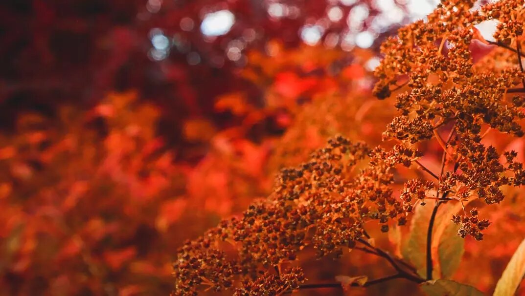     Самые значимые события недели.