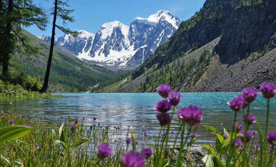 Ставьте лайк, если вам понравилась публикация. Подписывайтесь на канал и будьте в курсе отраслевых событий.