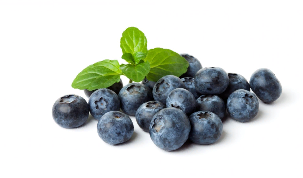 Ягоды черники очень распространены - встречаются во всем мире. Они легкодоступны, недороги.