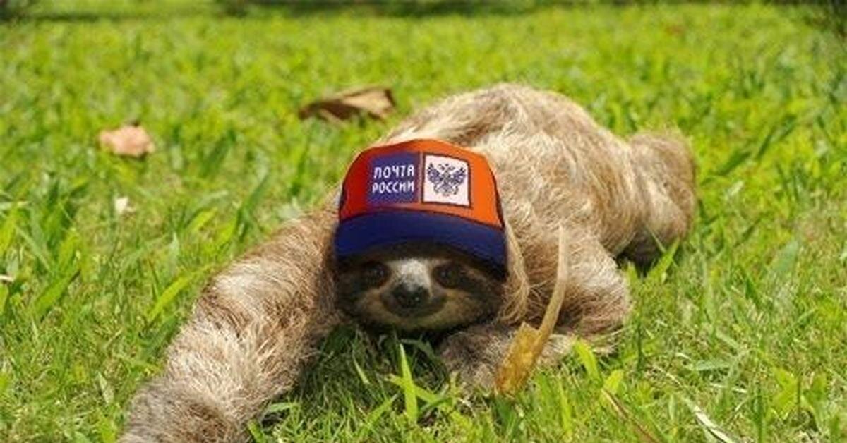 Изображение носит иллюстративный характер и ни на что не намекает, автору текста не принадлежит.