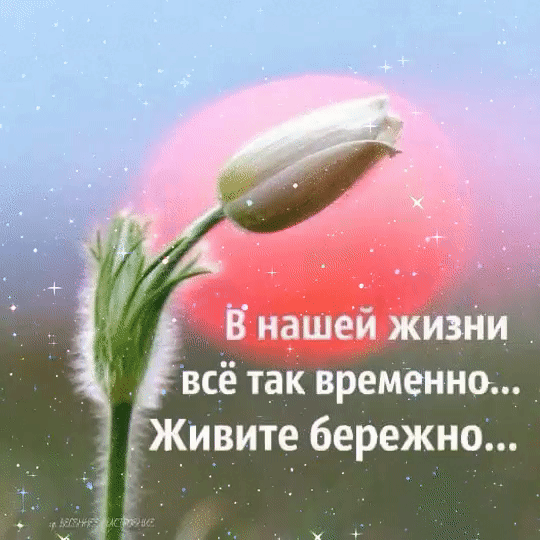 -6