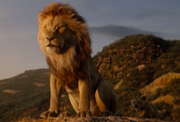 Кадр из мультфильма "Король Лев".