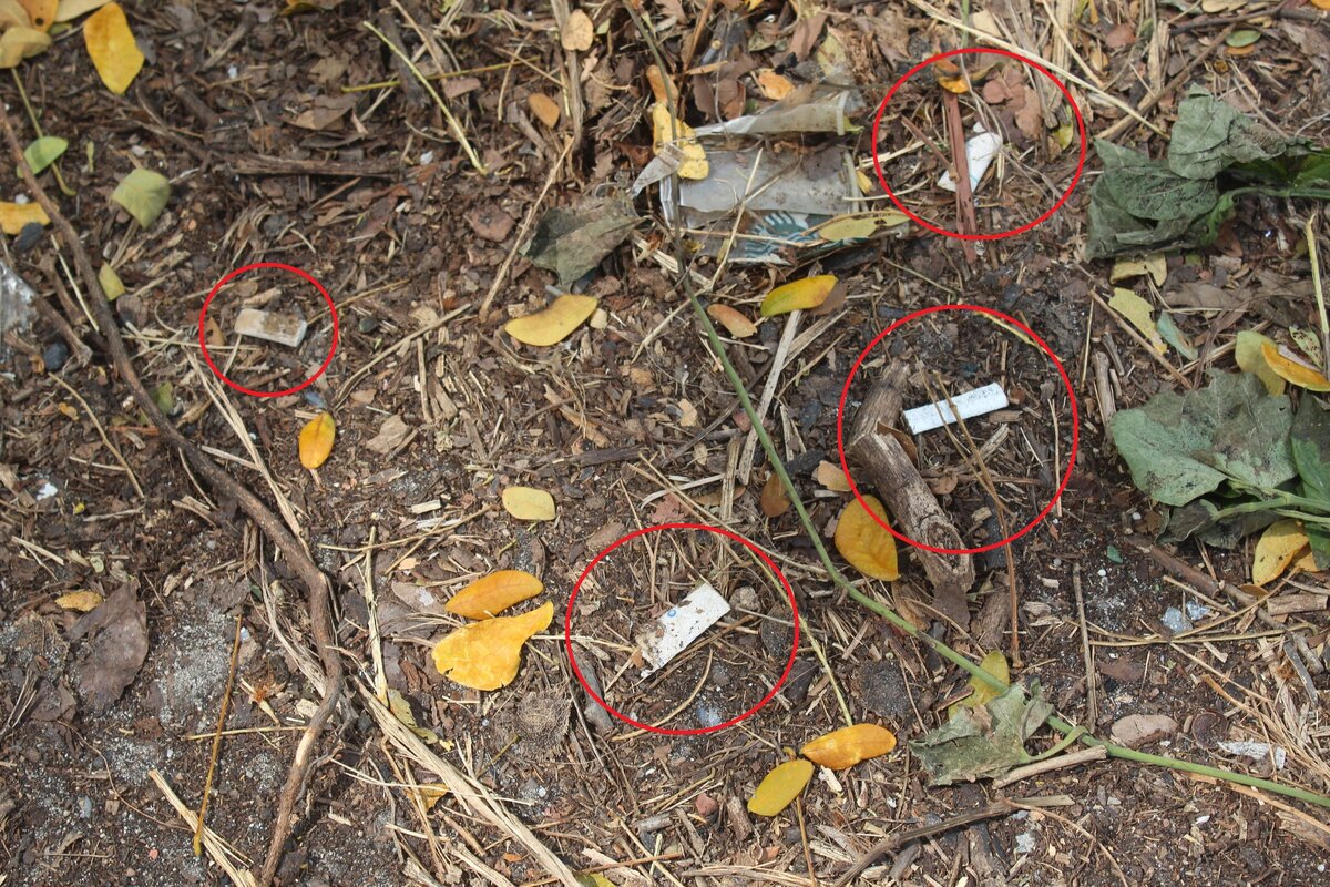 Окурки в центре Сингапура (где-то под небоскрёбом Abbott)