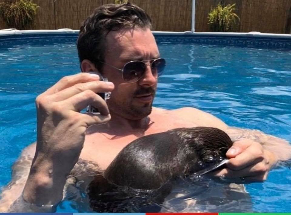 Фото в бассейне                                                                 https://www.facebook.com/barnhillpreserve/