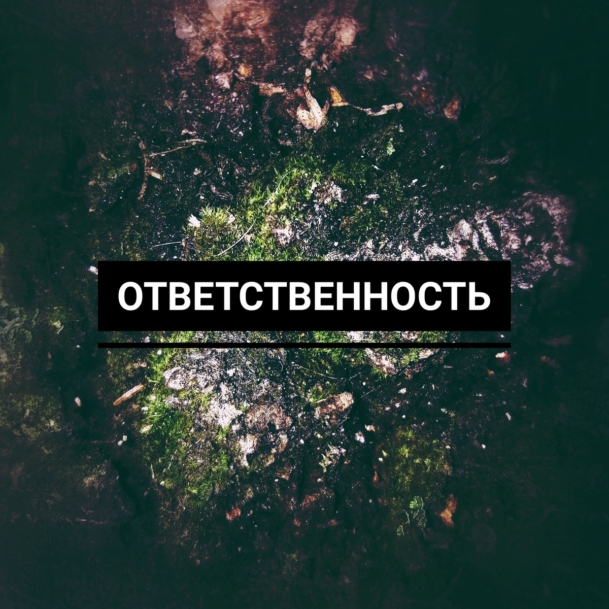 Картинка собственного производства