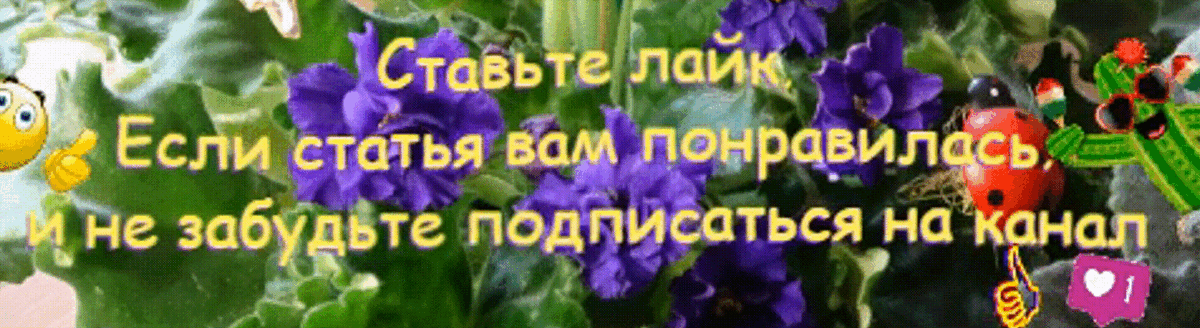 -4