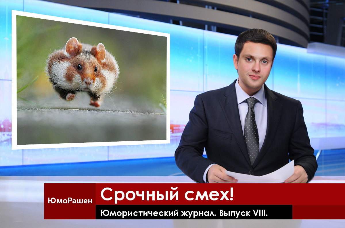 Этот хомяк бежит первым посмеяться.
