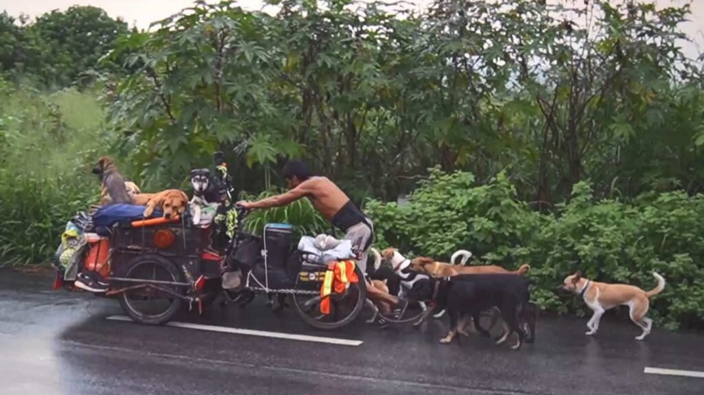 Все фотографии сделаны Стюартом Уильямсом, йогом-фотографом