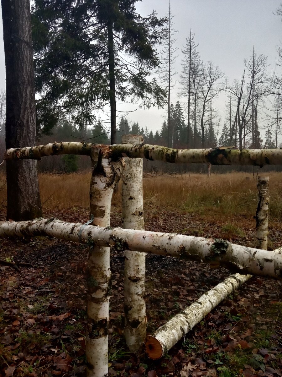 Забор из бревен – вспоминаем, как строили предки.