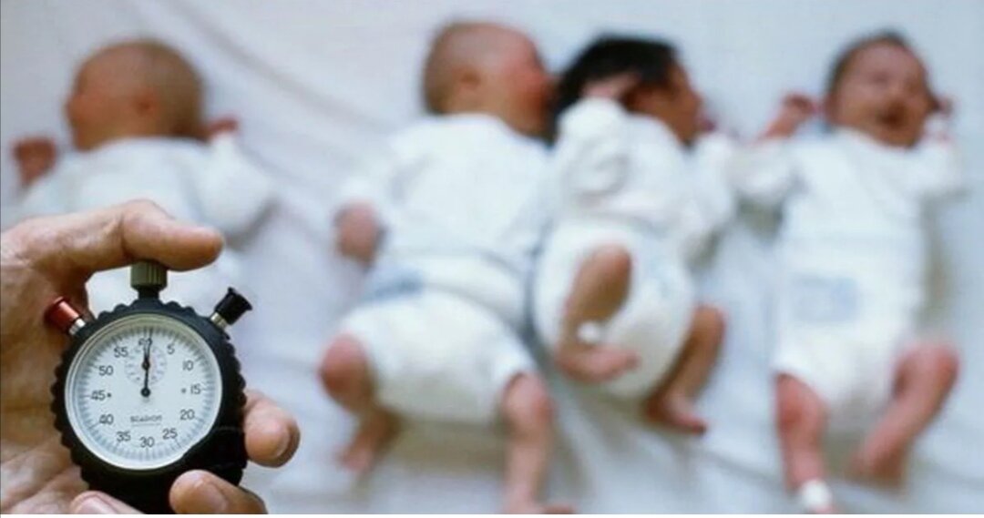 Фото Яндекс. Картинки