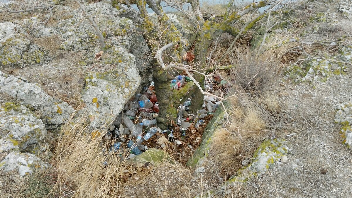 Вот такой мусорное место прям на Алчаке на самом пике