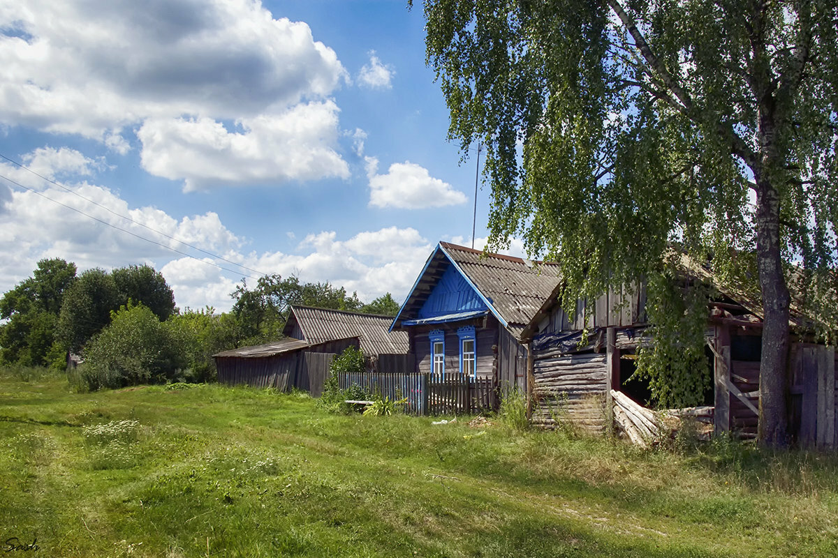 Фото из открытых источников Яндекс .