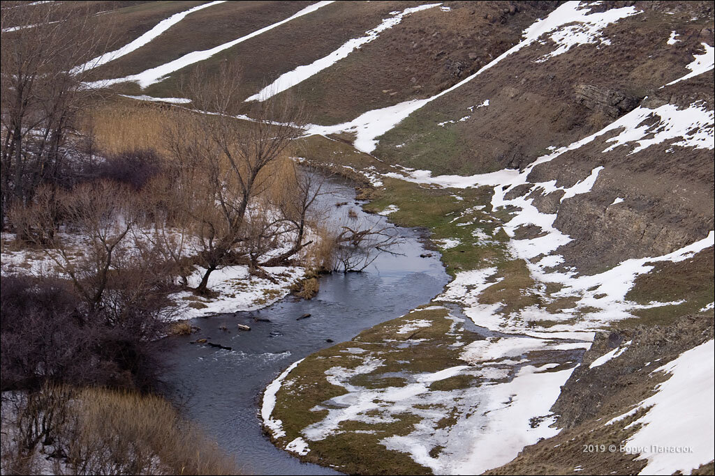 Вишневый сад красный сулин фото