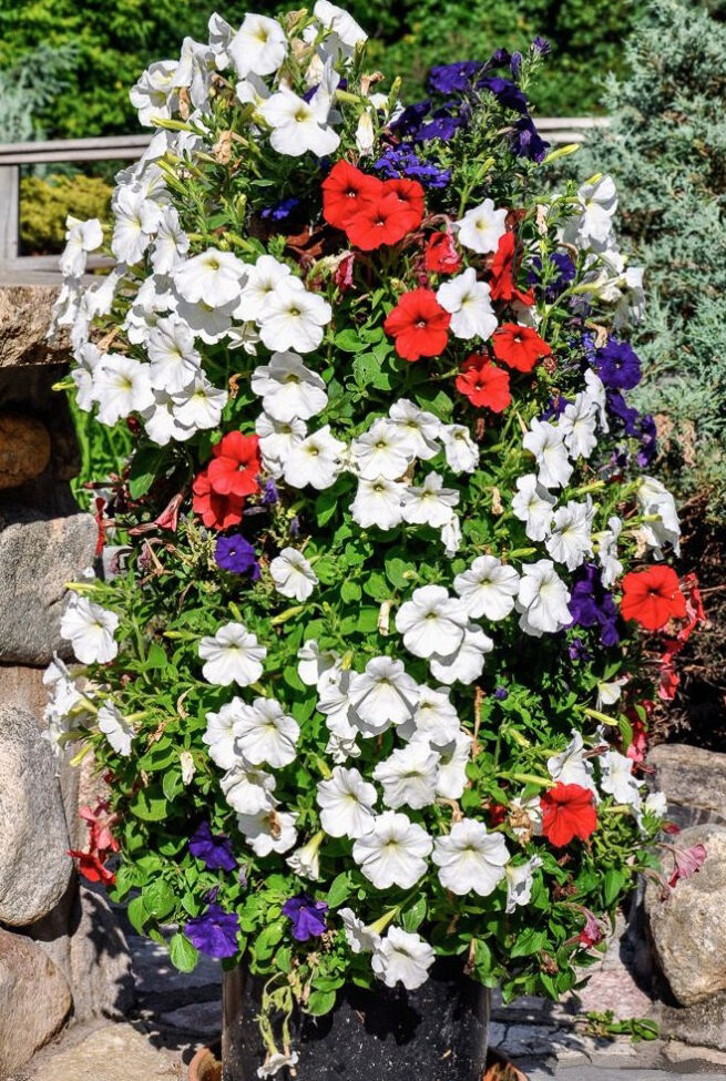 Фото с сайта lavozdelmuro.net 