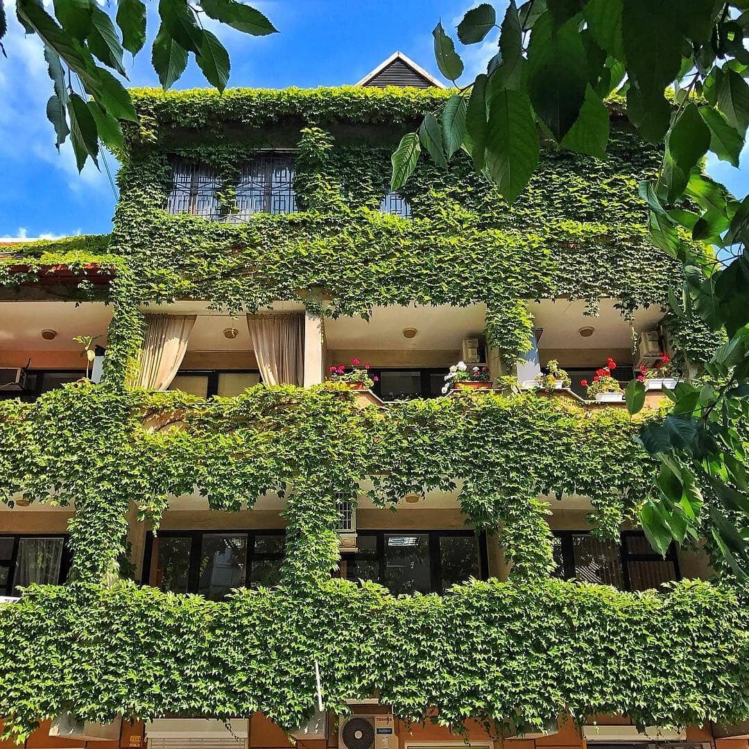 Мохнатый домик на ул. Советской