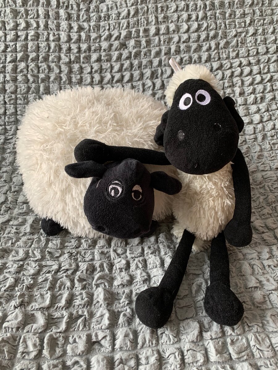 игрушки с AliExpress. За оба отдали чуть больше 1000₽