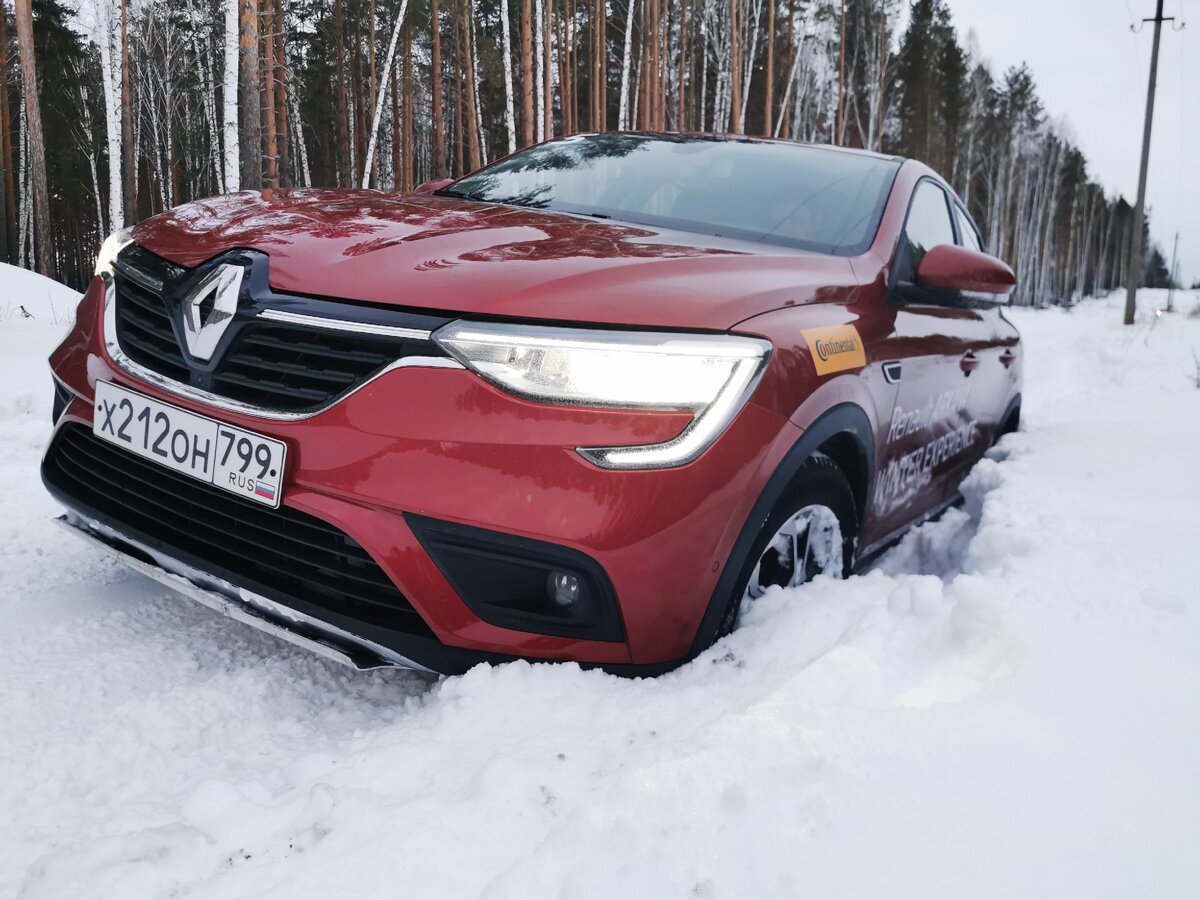 Фото: автора