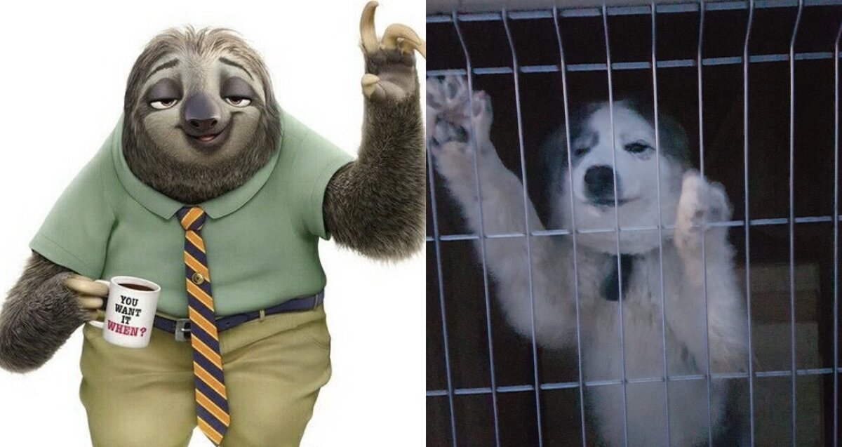 Есть же что-то общее, да?😊