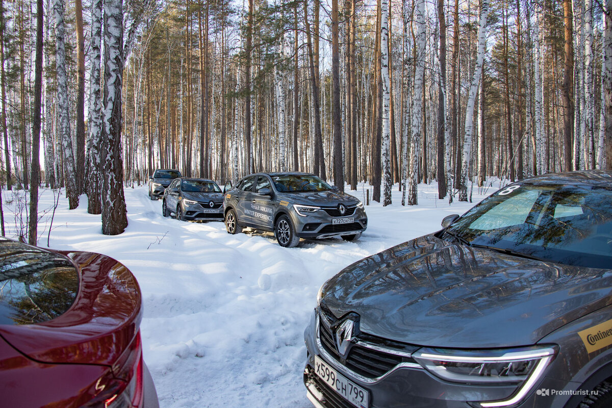 Renault Arkana. Турбо-ласточка парящая над колеями. Лесной тест-драйв  🐦🚘😜 | Промышленный турист | Дзен