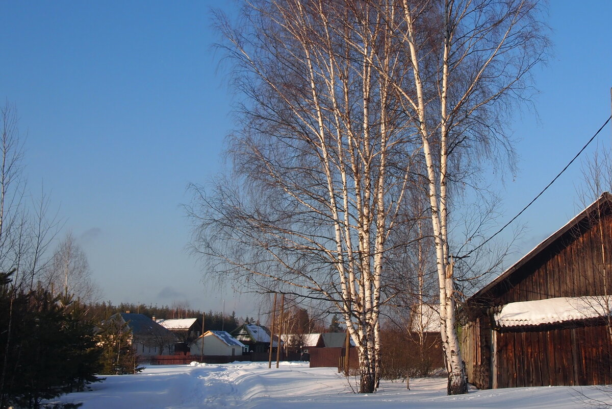 зимняя деревня