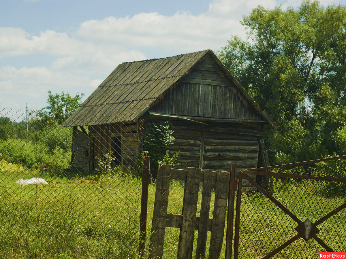 Фото с с айта rasfokus.ru