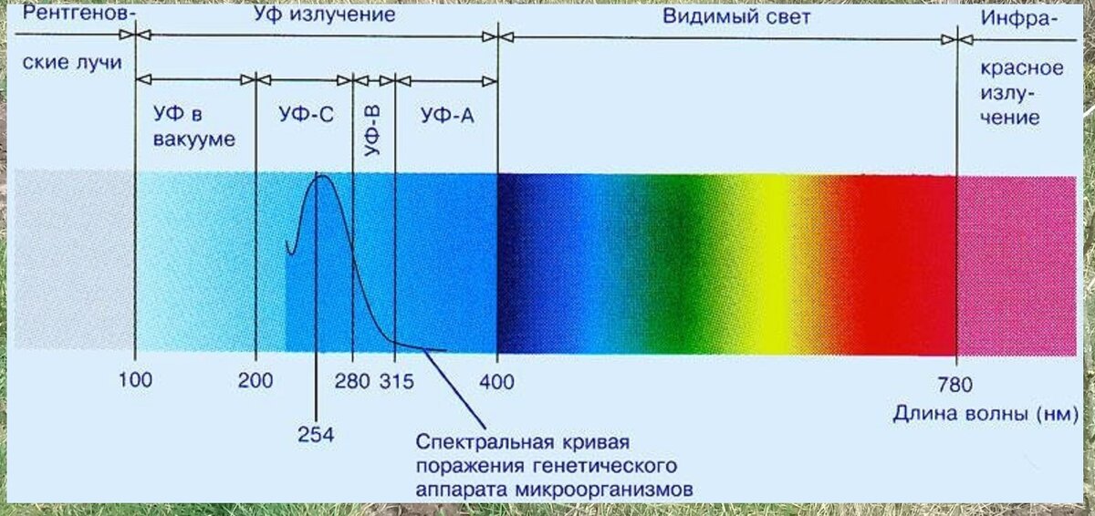 Из открытых источников интернета.