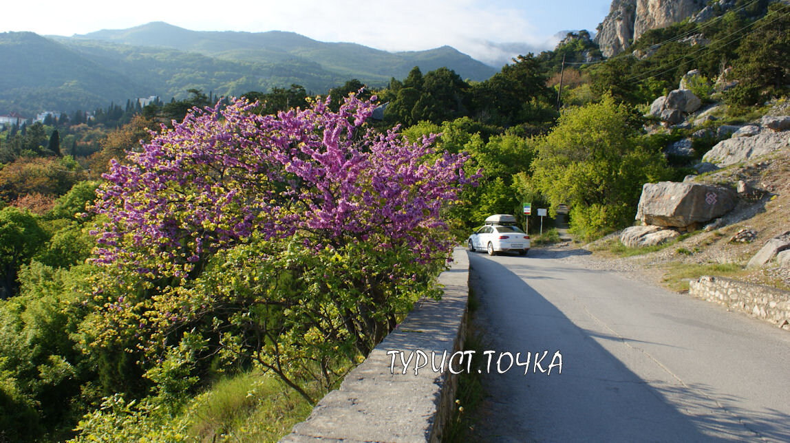 Дорога Симеиз - Кацивели. Крым