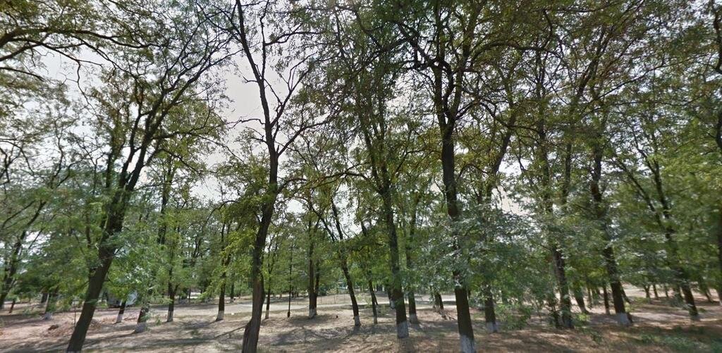 Фото: multilisting.su