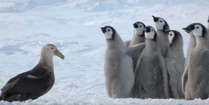 Источник: www.youtube.com