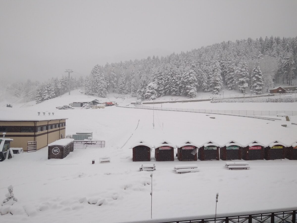 16.03.2020 г.  Утро после снегопада.