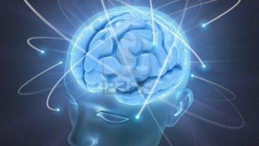 Кто обладает самым высоким IQ  в мире? 