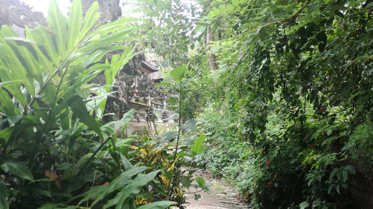 Вблизи храма Pura Gunung Lebah