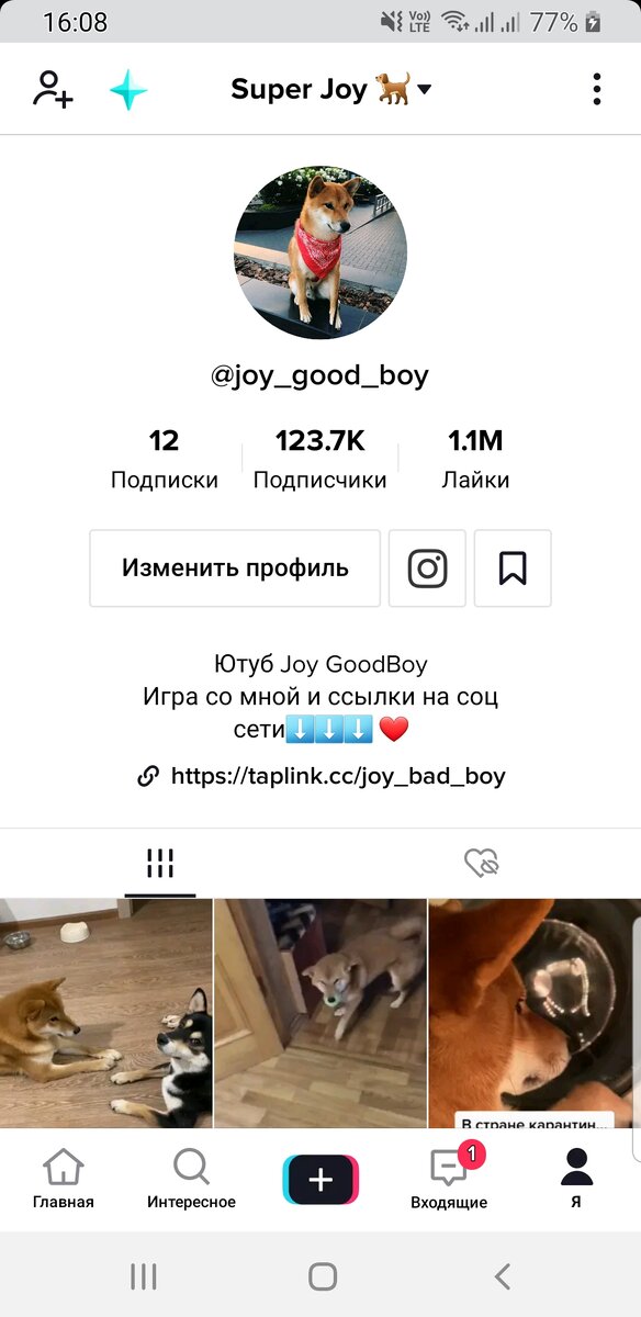 Профиль моего собакена)