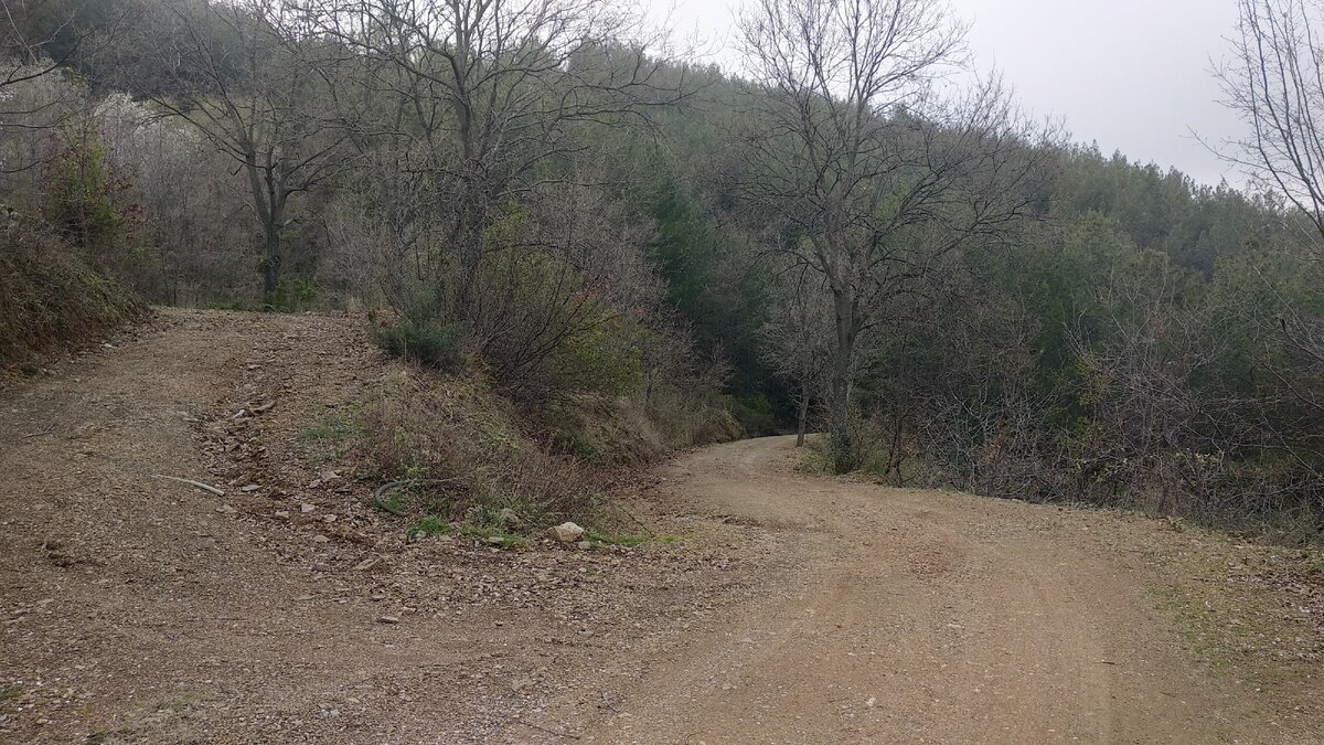 Грунтовая дорога на Ламос