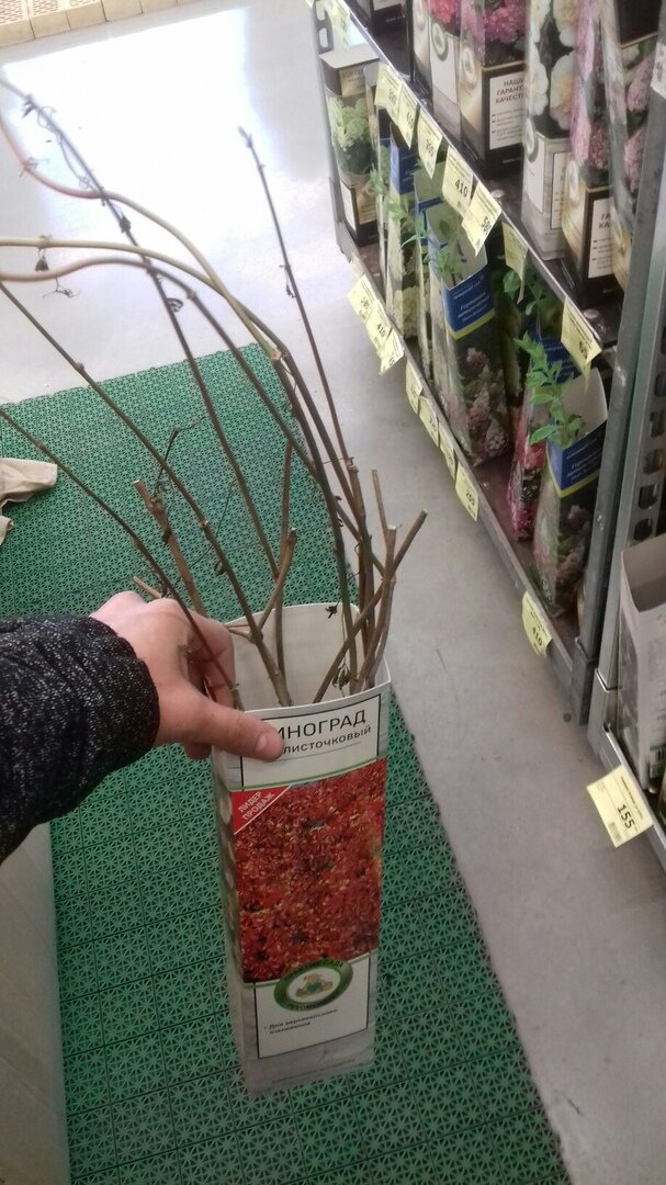 -2-2