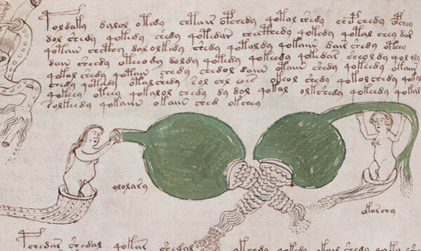 иллюстрация из рукописи Войнича