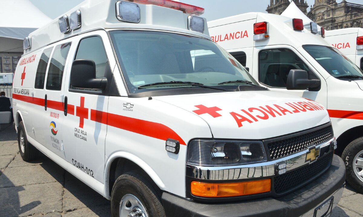 Фото взято из интернета