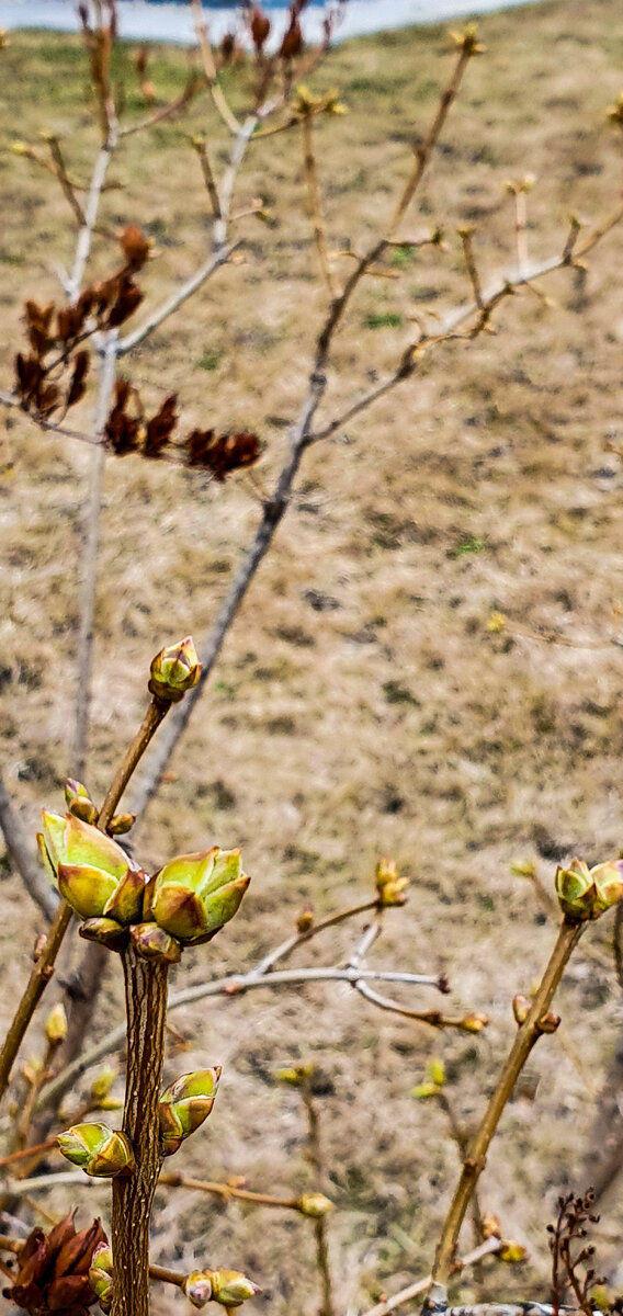 Против или вместе?