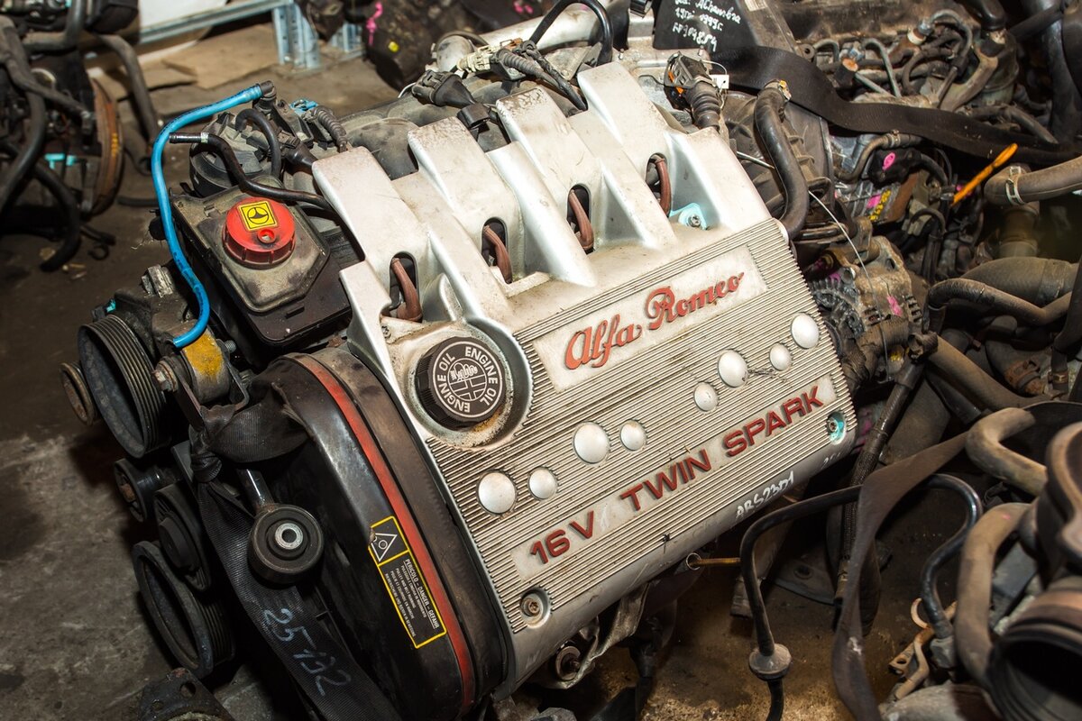 источник фото: Яндекс Картинки