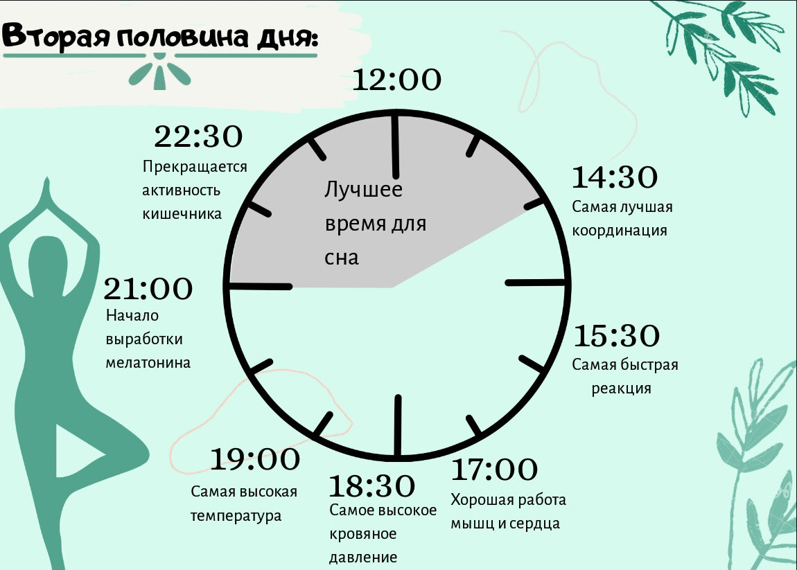 Биоритмы циркадные ритмы. Часы сна. Биологические часы сна. Биологические часы сна для человека.