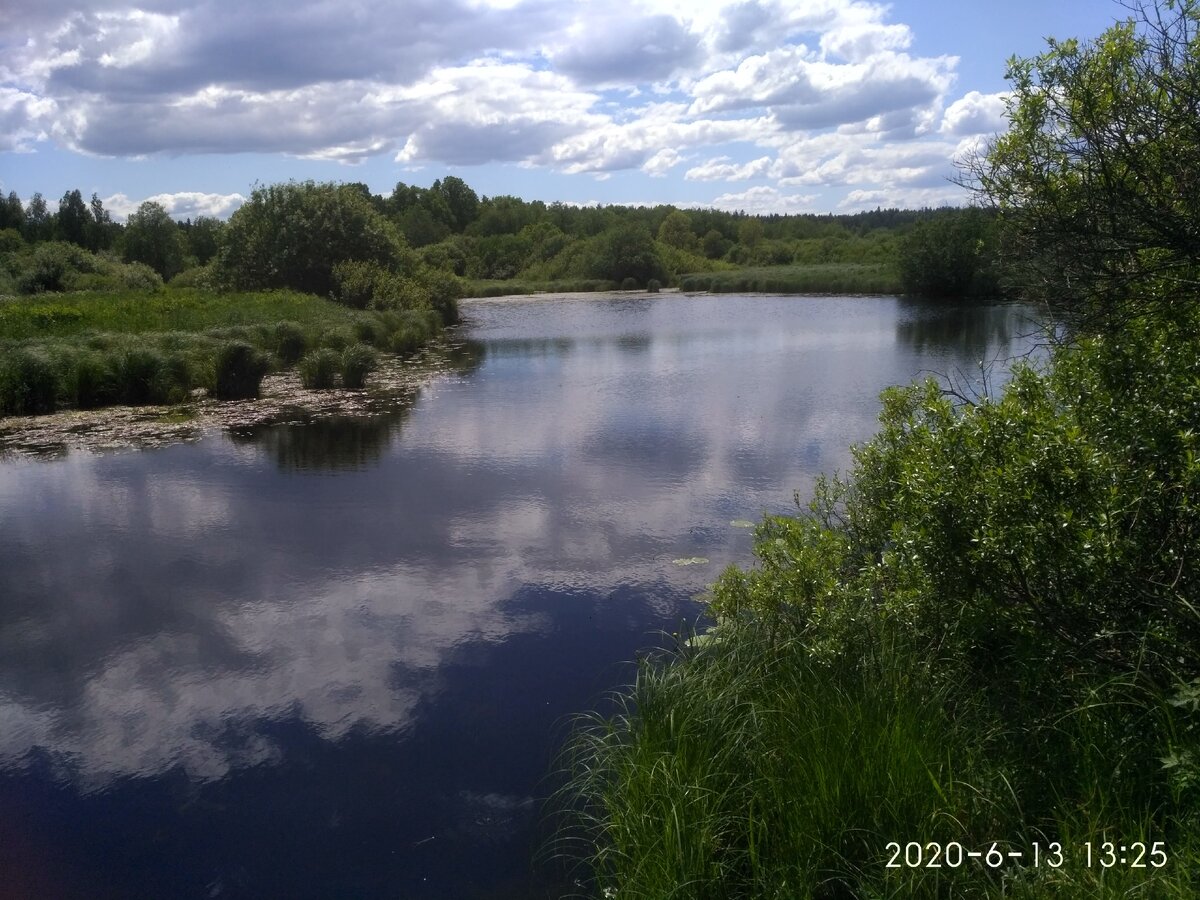Река Луга Толмачево