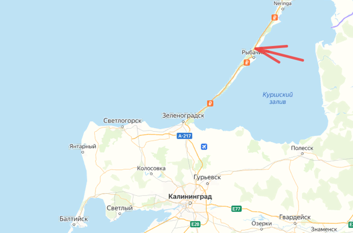 Танцующий лес на Яндекс Картах