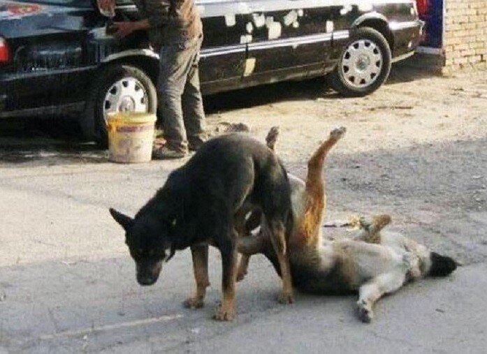 Эй, камеру убрал, мы тут не на сайте для взрослых! 