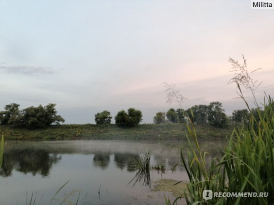Я закинула поплавошку и пыталась освоить спиннинг, а уж скользил по водной глади, дожидаясь лягушек.