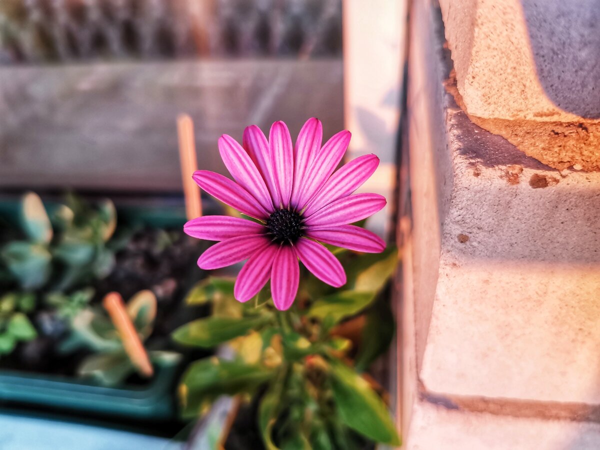 Подруга решила не давать ребёнка отцу