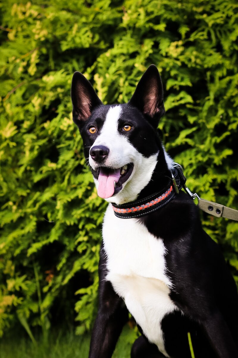 Джеки ищет свою семью