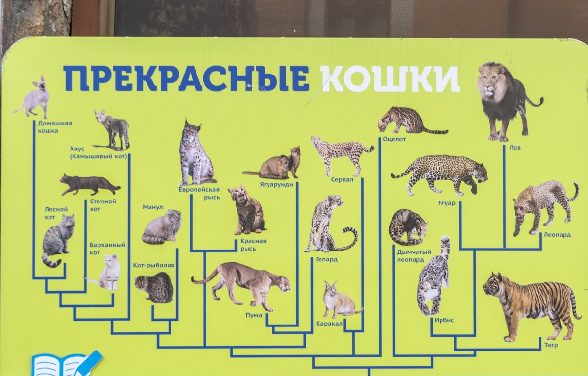 авторское фото